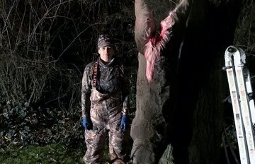 Hunting: nov2018